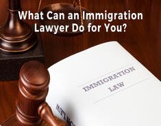 Best Immigration Lawyer