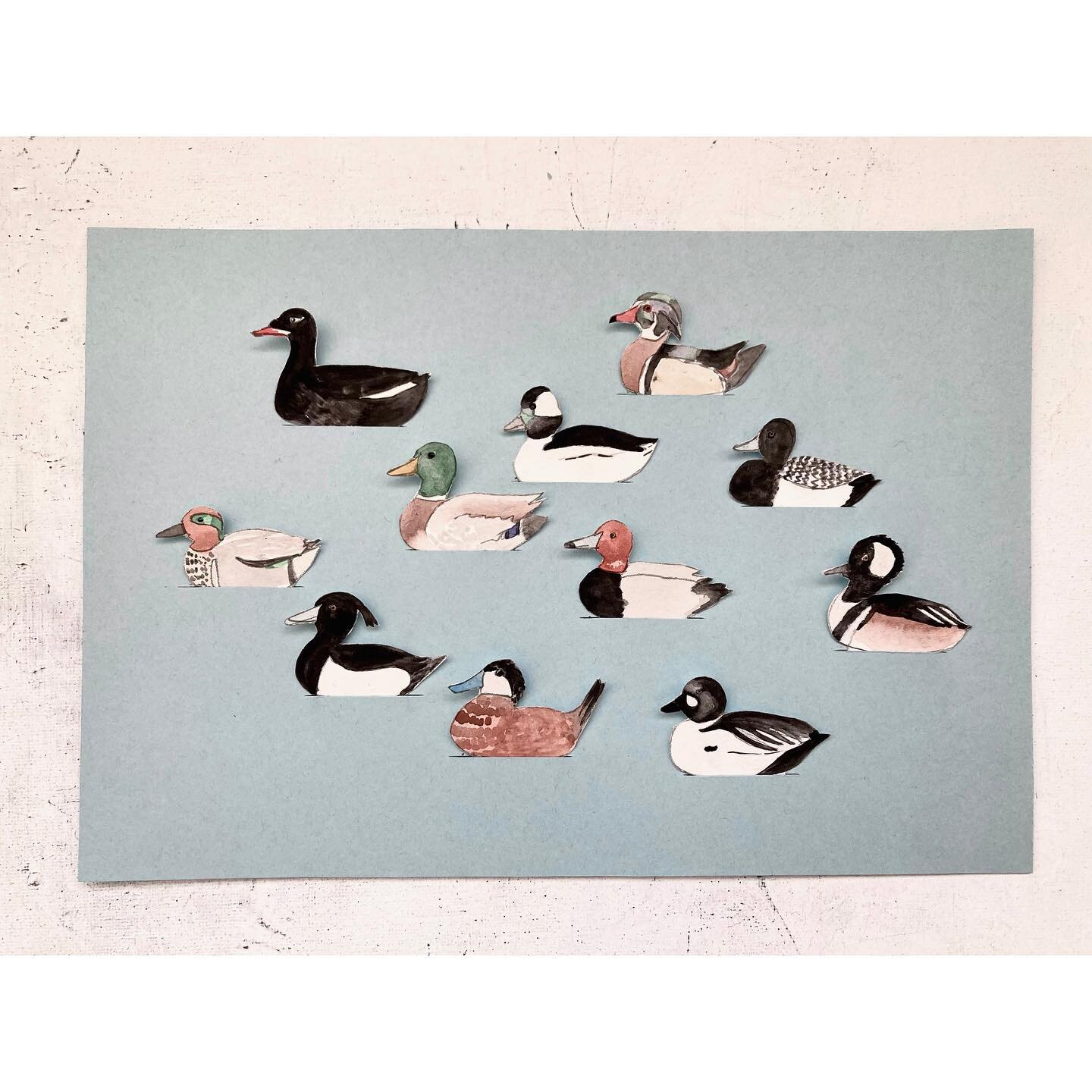 Duck card 🦆