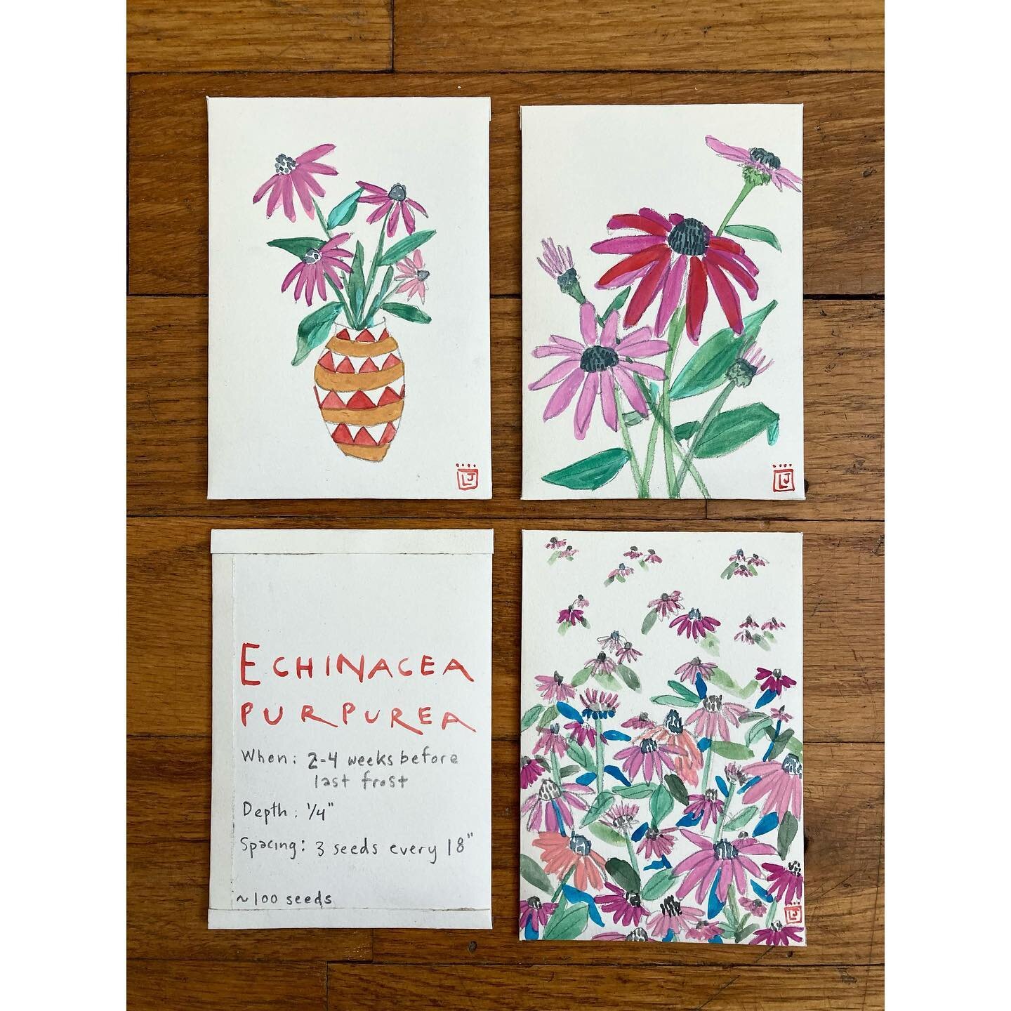 Echinacea purpurea seed packets. Watercolor, gouache, pencil, 100% ethically/meticulously-harvested NYC seeds. 

www.lisajaeggi.com/shop