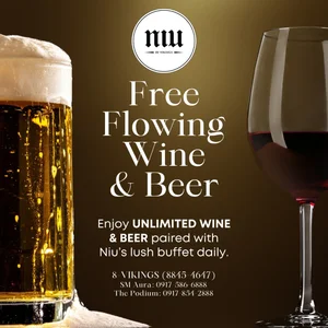 NIU by Vikings — Vikings Philippines