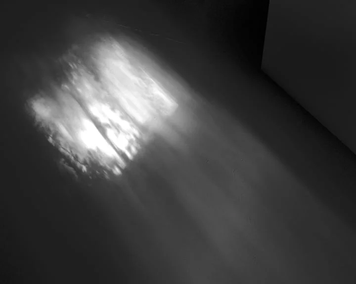 basement_beam.jpg