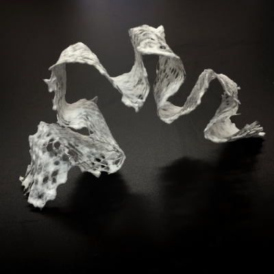 papermaking in 3-d