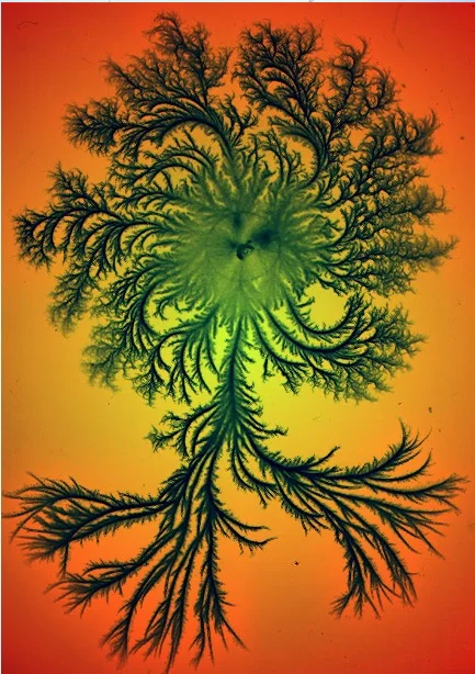 154_EBJ08_bacteria_colonies.jpg