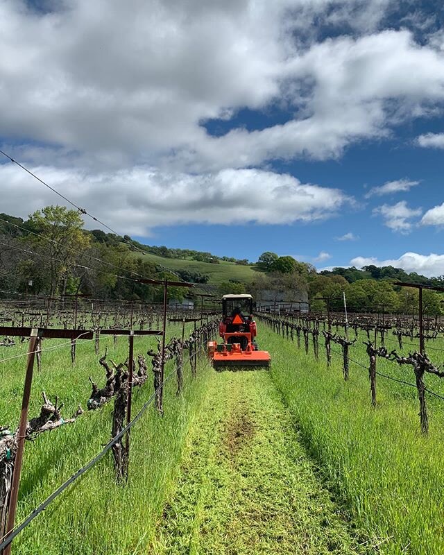 First mowing pass. #ranchochimiles #valdigui&eacute; #mowingseason