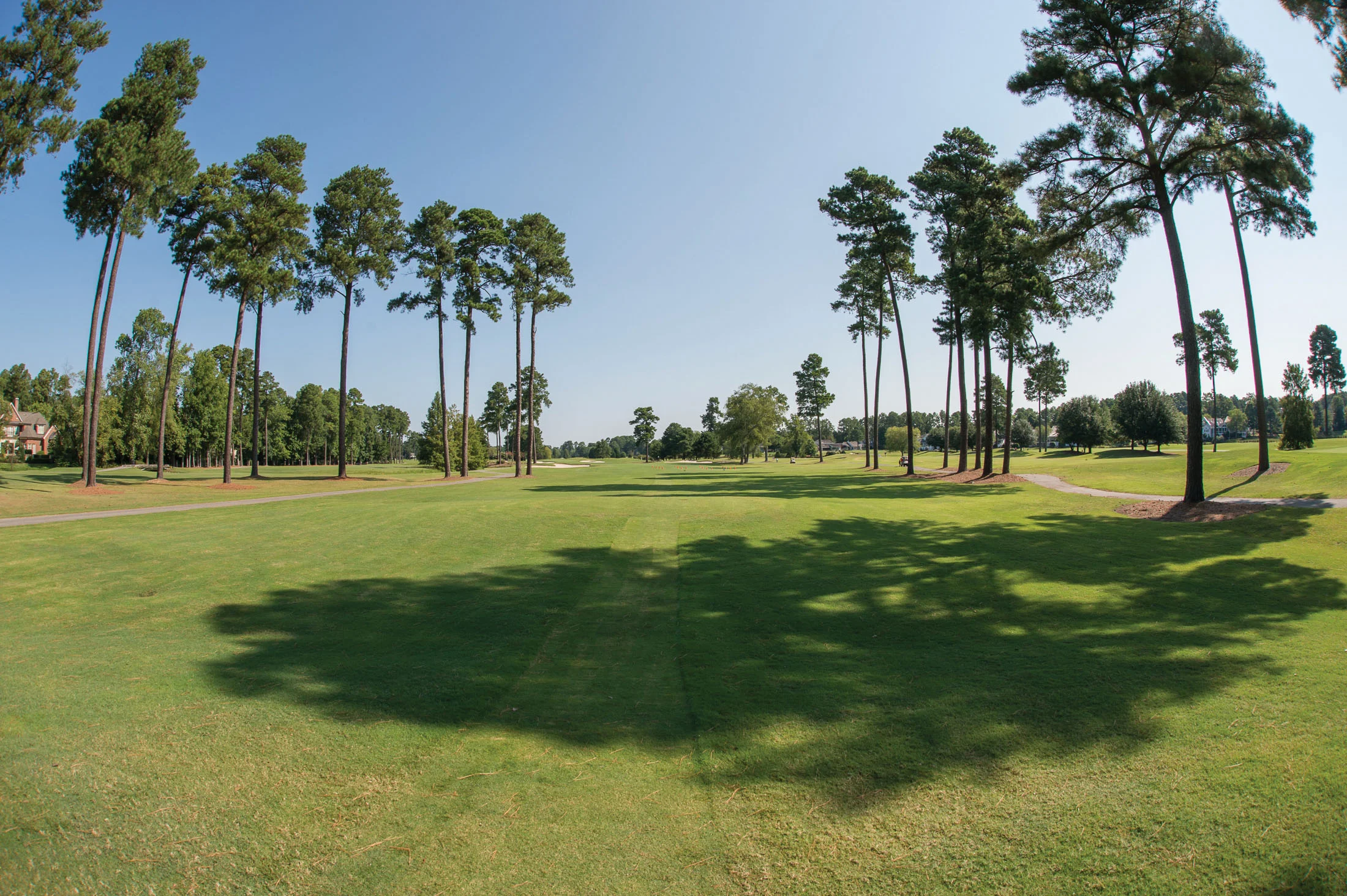 best golf course: prestonwood country club photo by Greg davenport