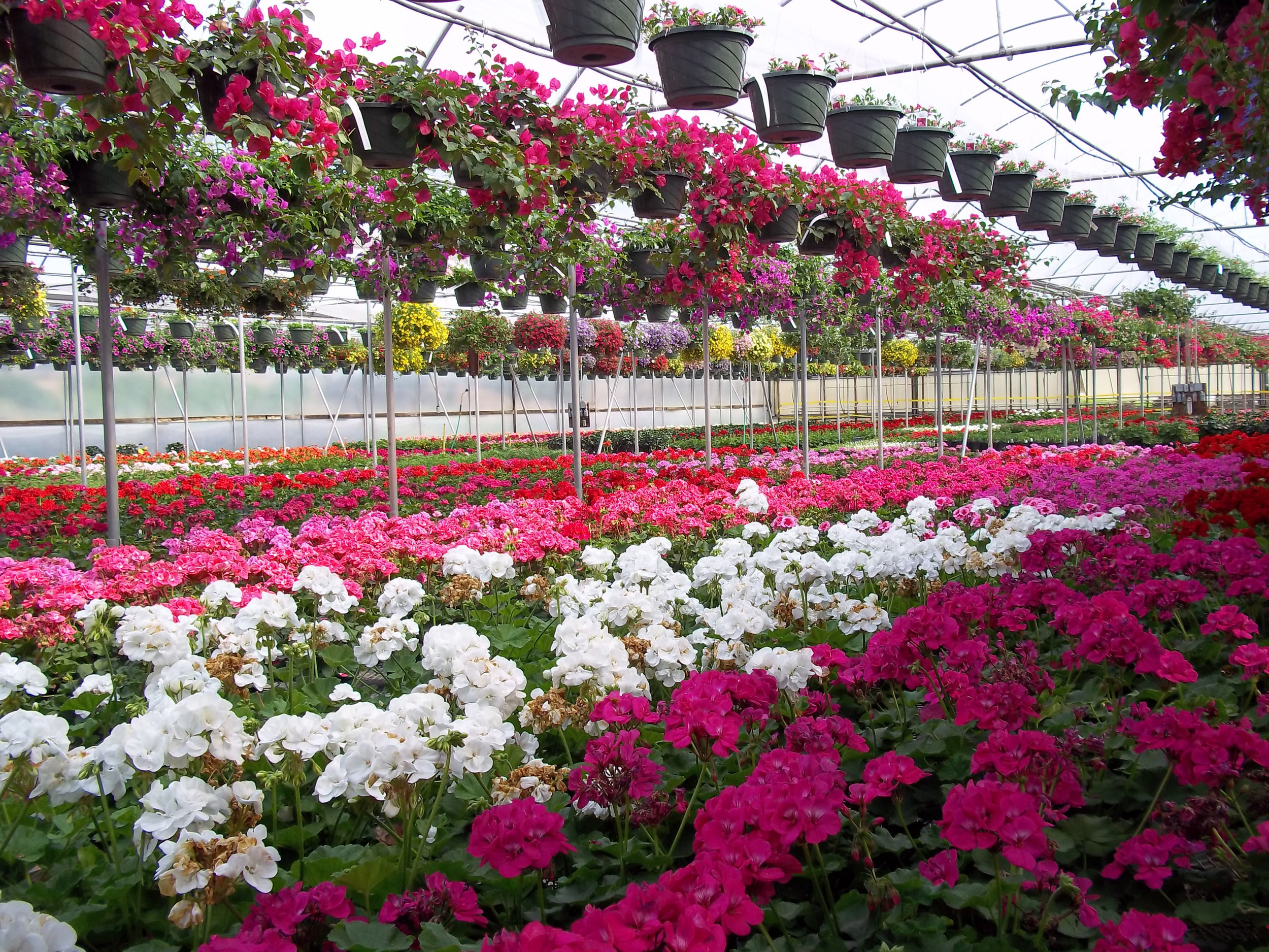 Best of Gardencenter New 2022