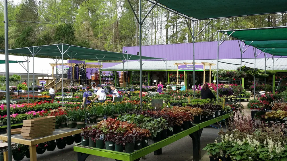 Gardening Tips Cary Living Gardening Tips Cary Living, Atlantic Garden Raleigh