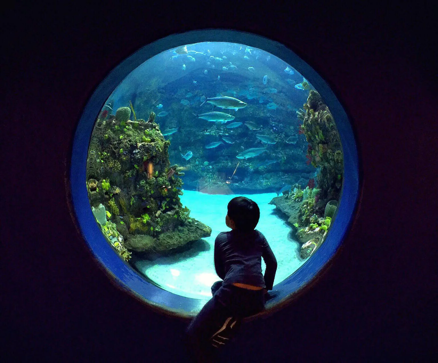 bubble_window_guestphoto_ copy.jpg