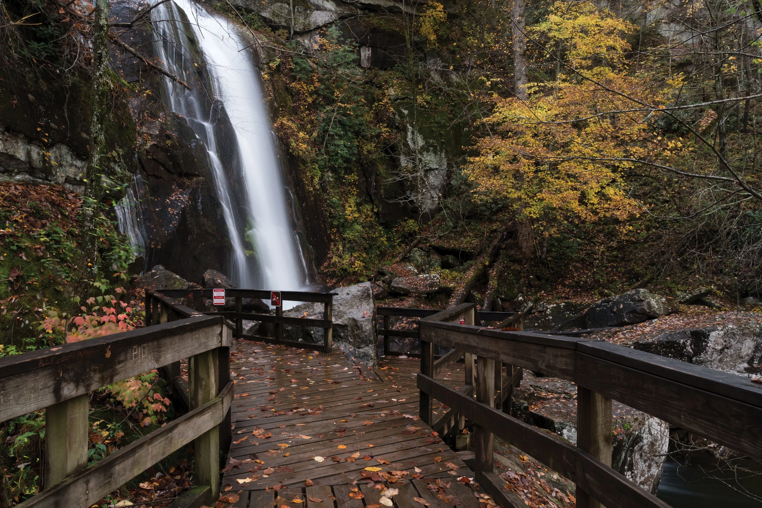 Cascading Wonders Cary Living