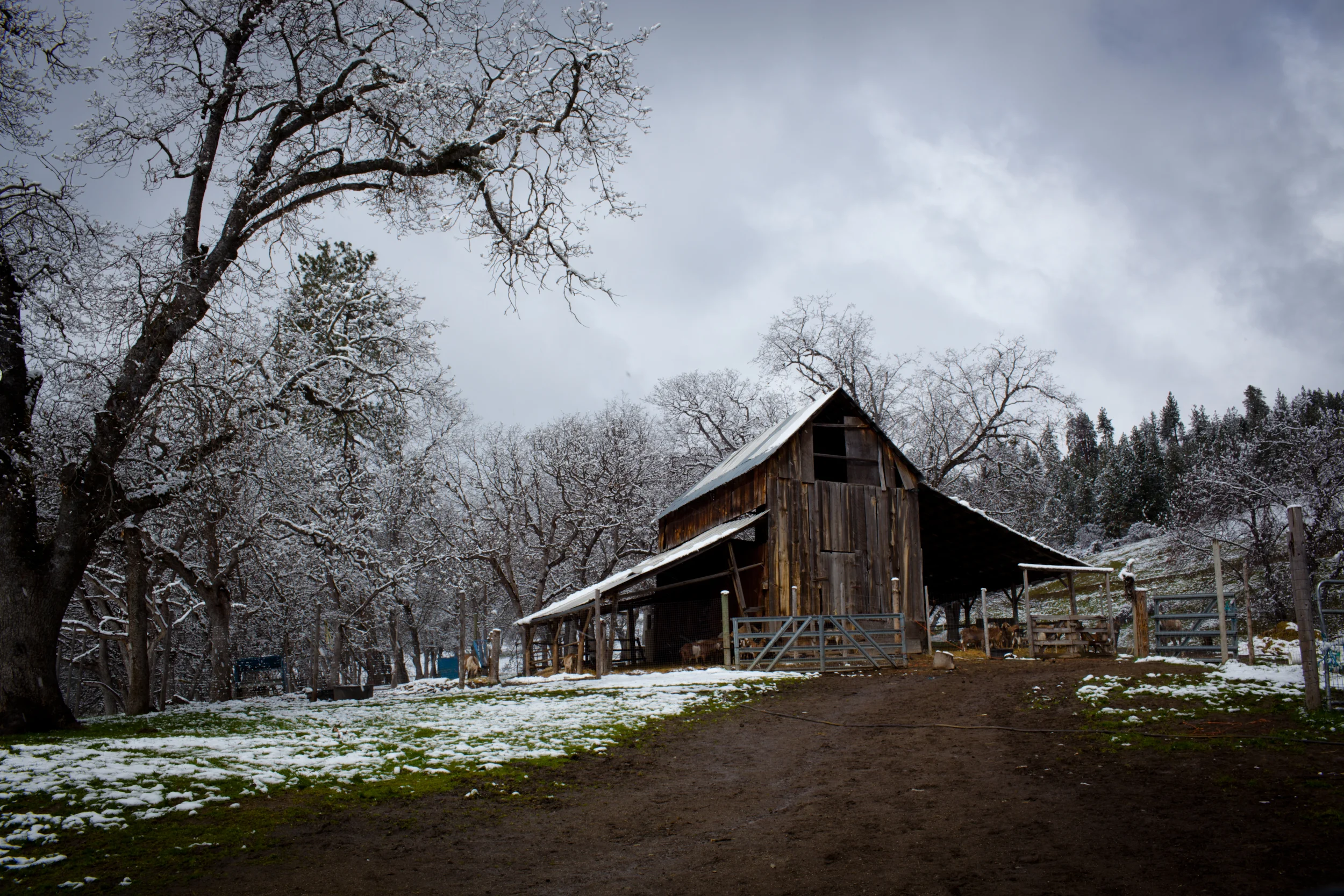 Barn_Boone.jpg