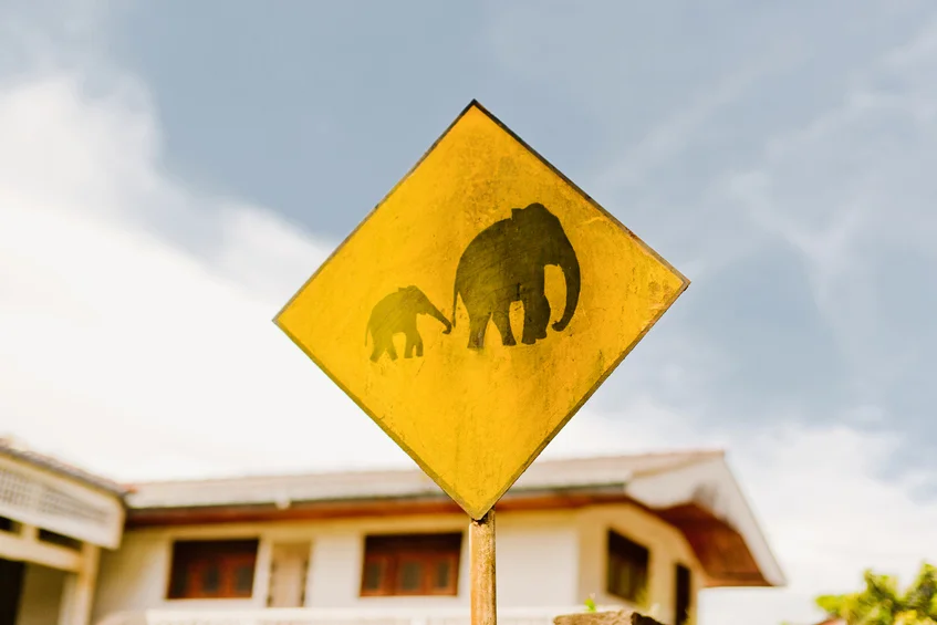 Gender-Creative Parenting