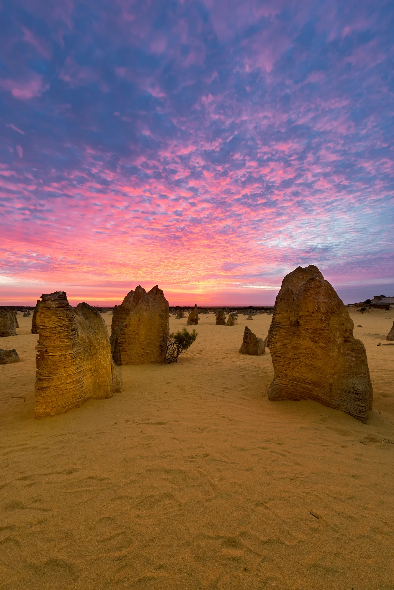 The Pinnacles, Nambung National Park, Western Australia