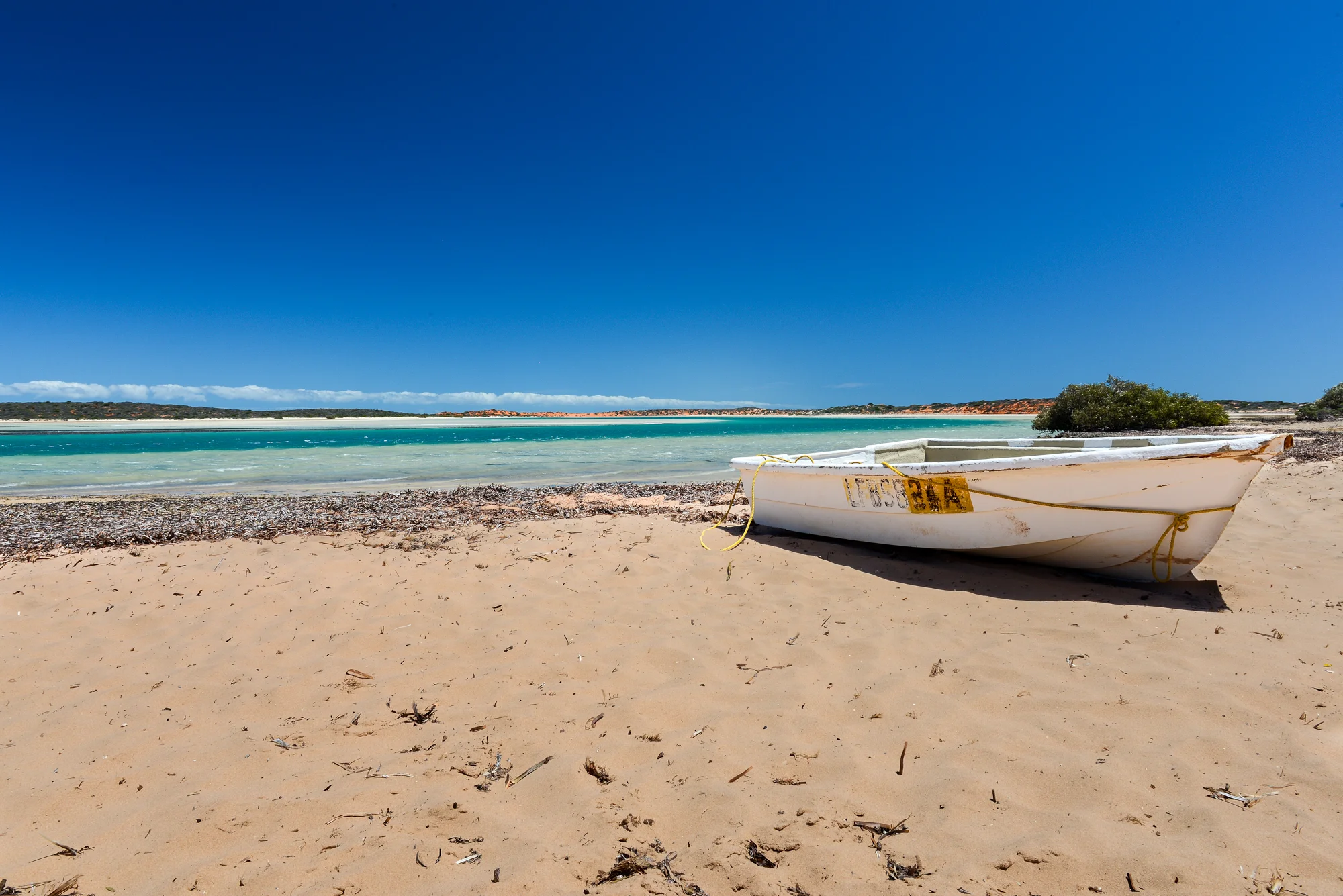 Shark Bay, Western Australia