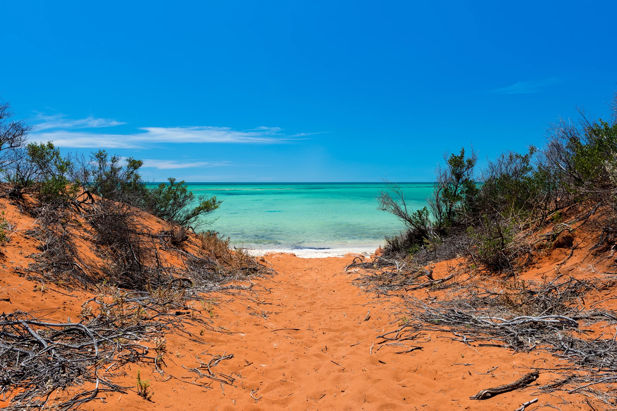 Shark Bay, Western Australia