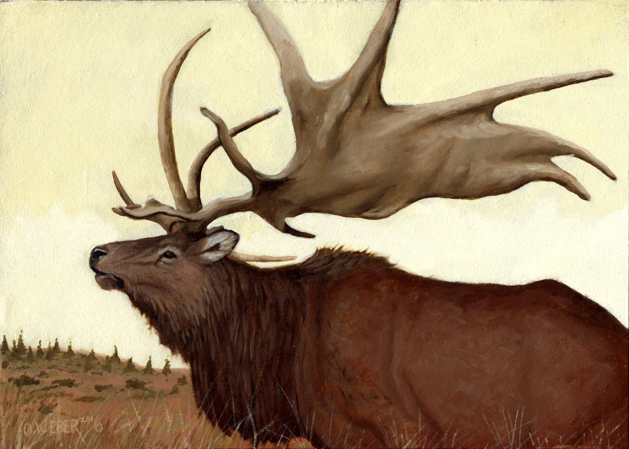 irish_elk.jpg