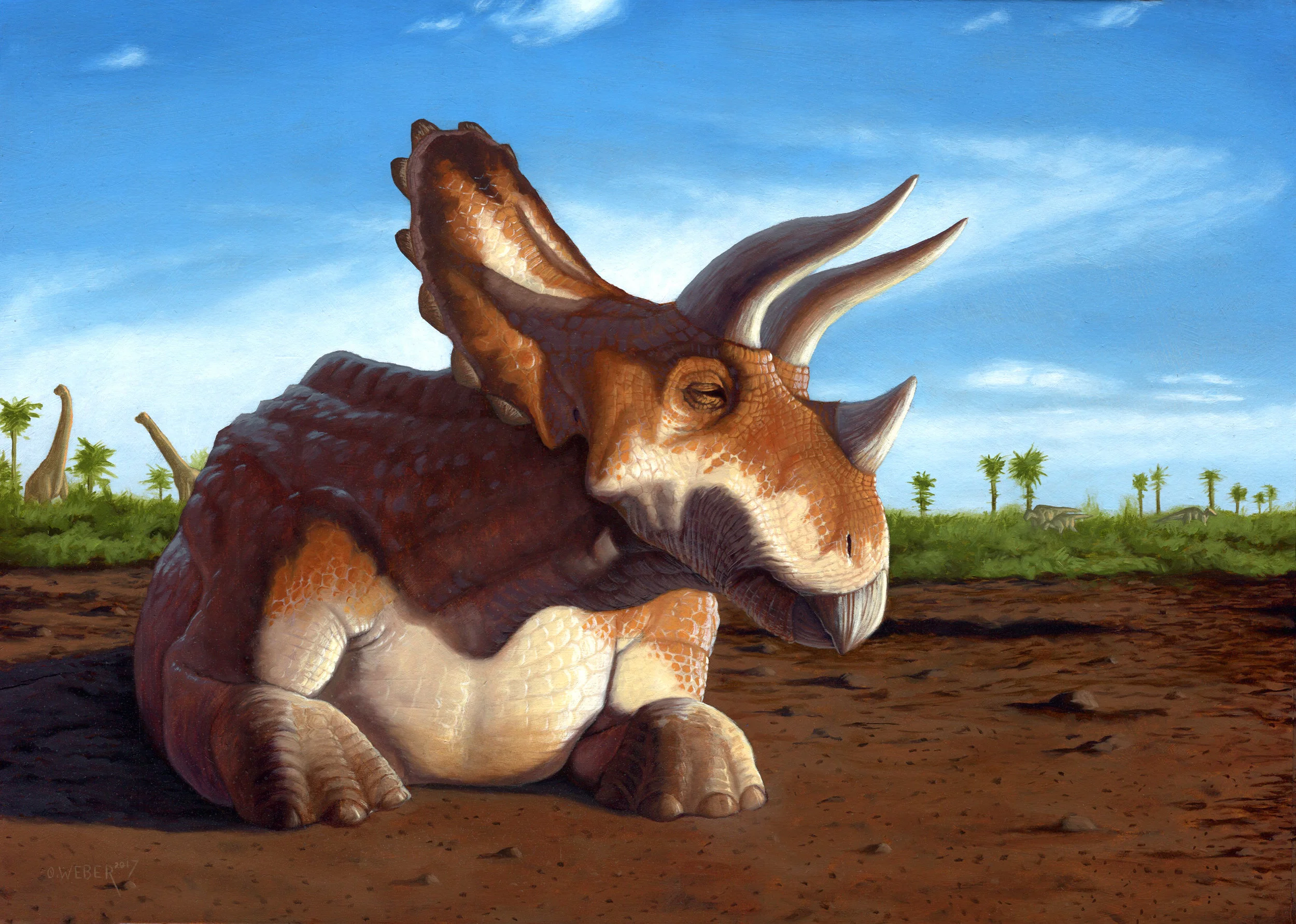 triceratops.jpg
