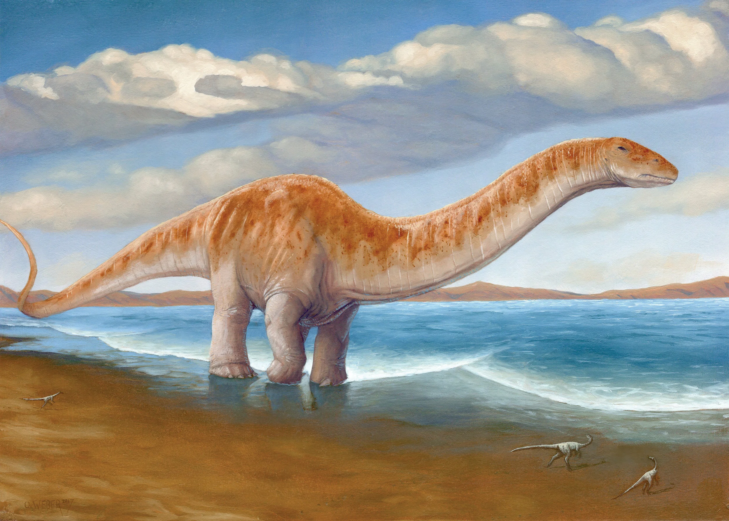 apatosaurus.jpg