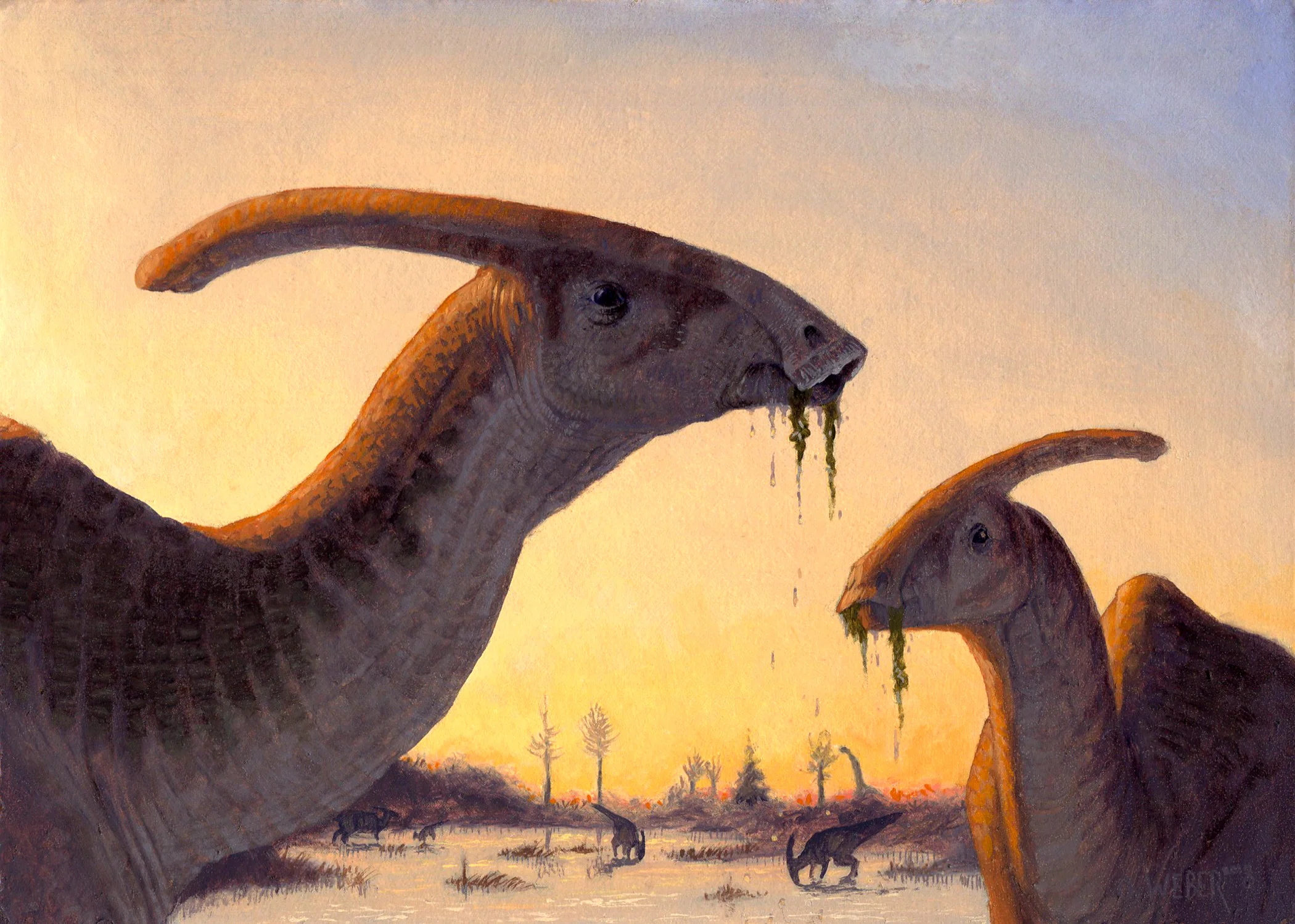 parasaurolophus.jpg
