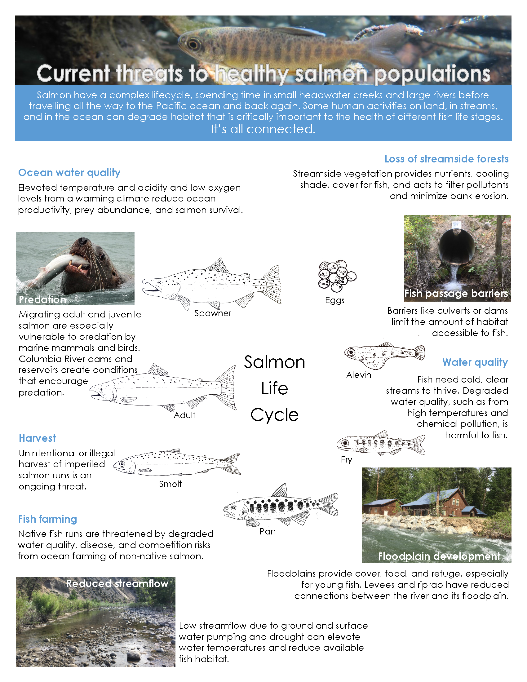 CCFEG_Methow State of the Salmon_2019_Page_2.png