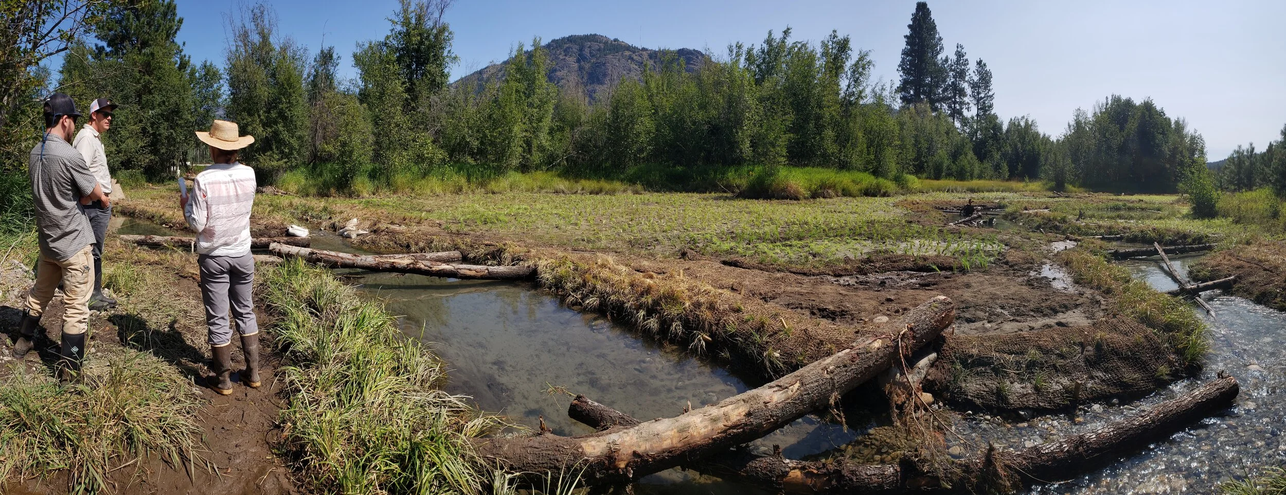 Hancock Phase 4_crop.jpg