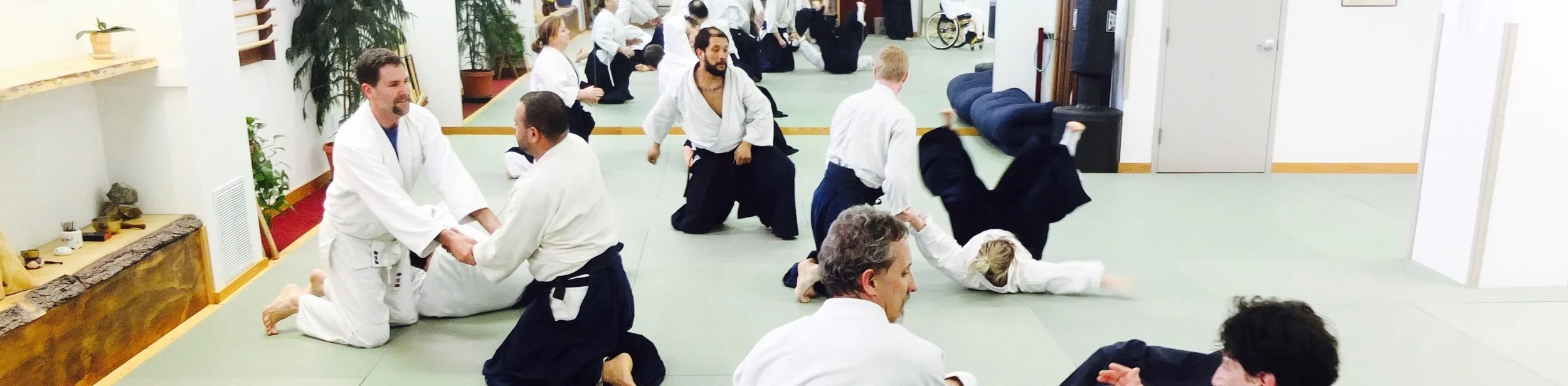 What is aikido banner.jpg