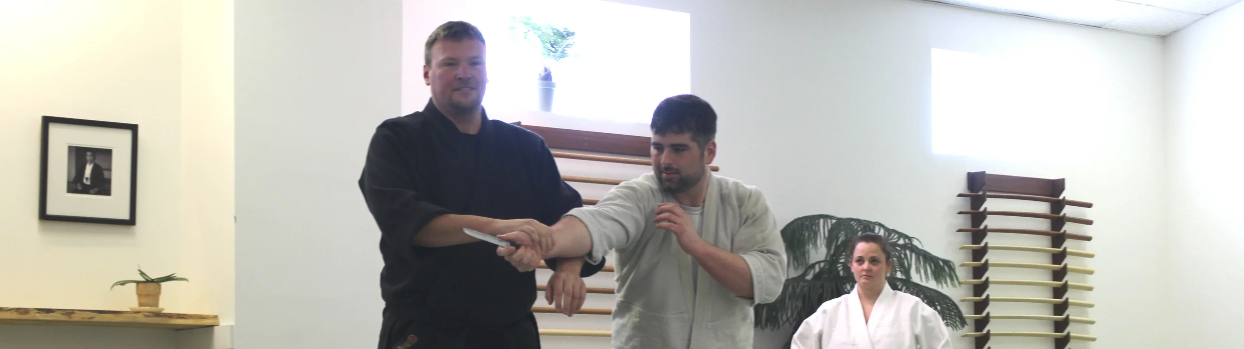 Budokai banner.2.JPG