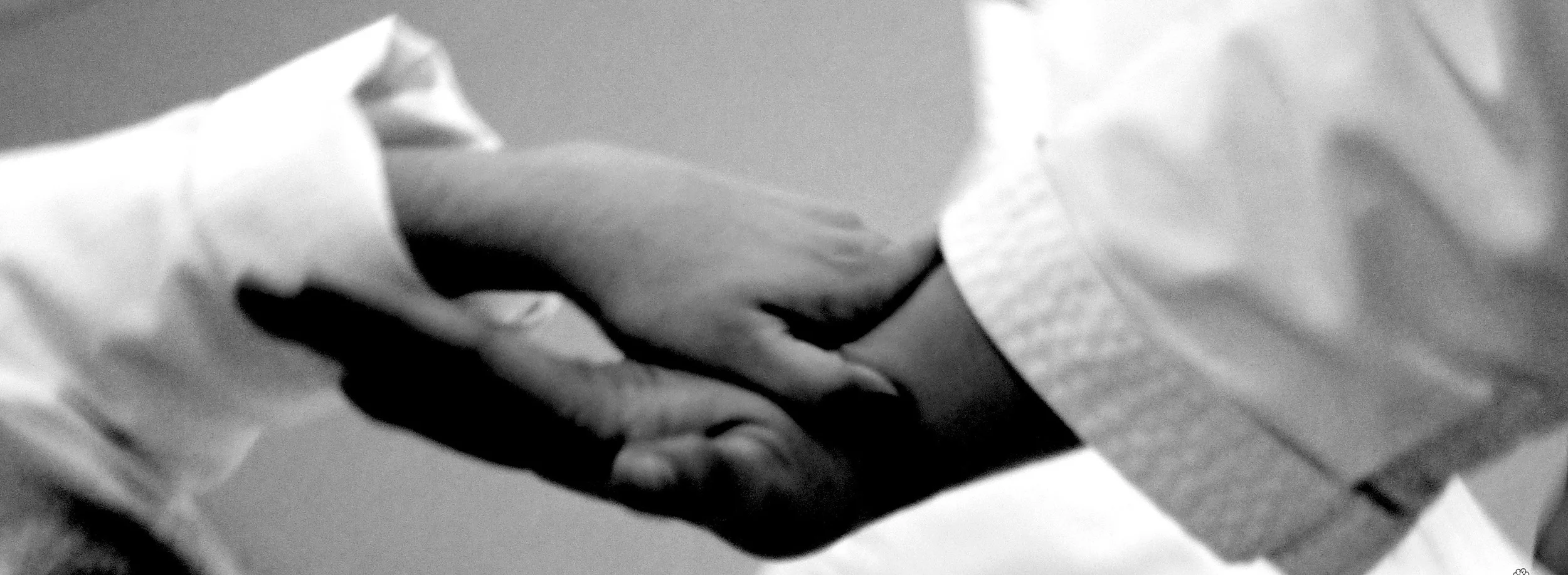 Hands banner.2.jpg