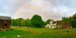 Aiki Summer Gasshuku