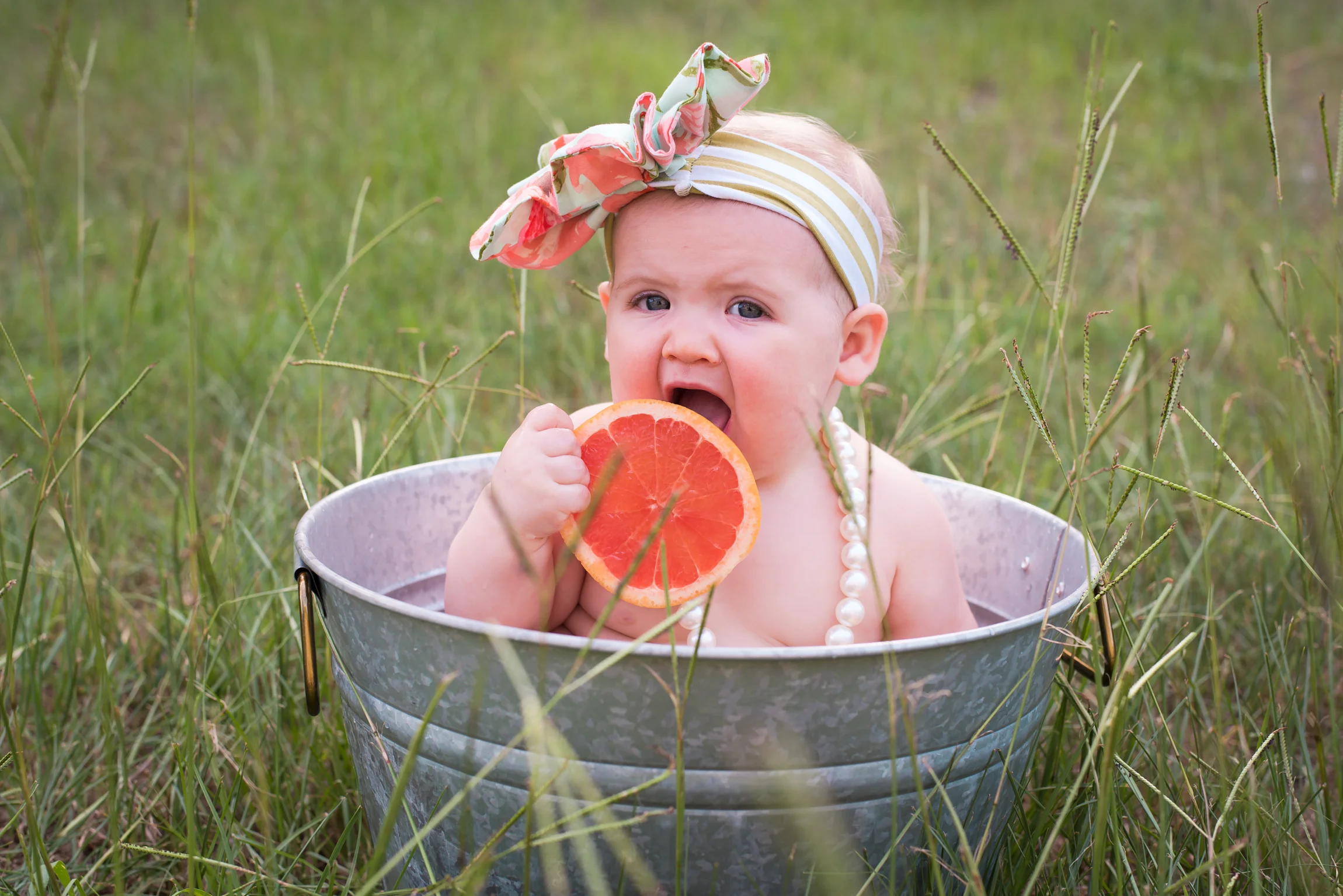 fruit-2.jpg