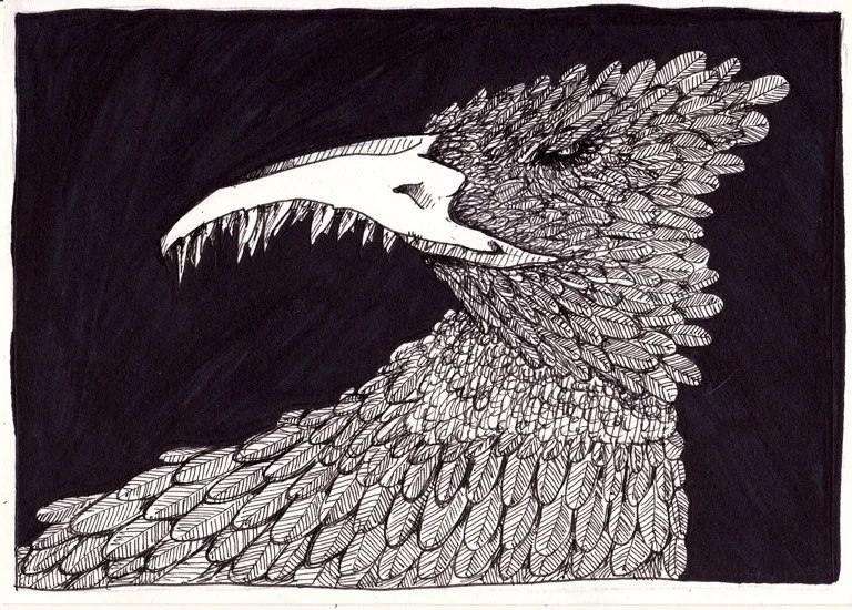 bird with teeth.jpg