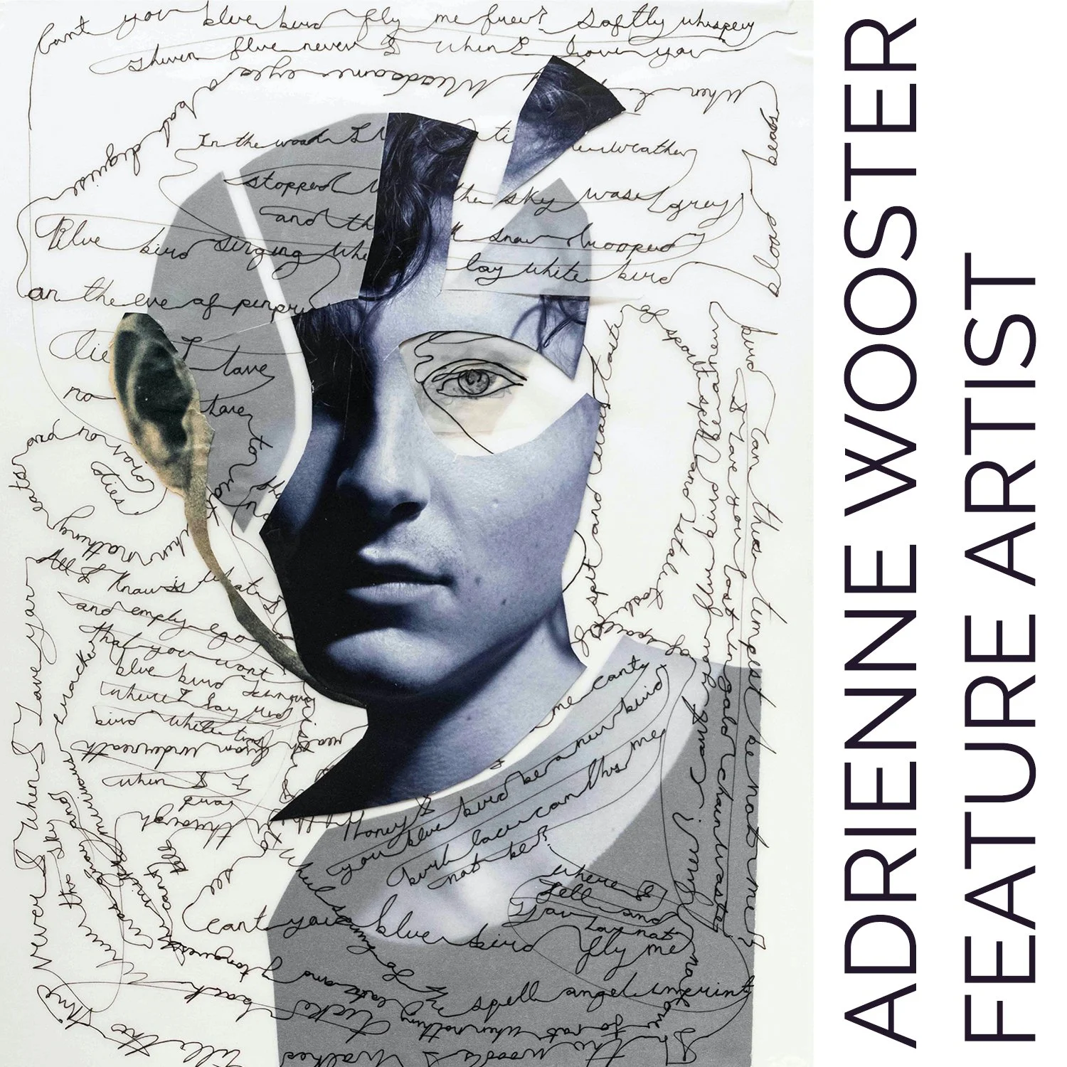 Feature Artist Opening - Adrienne Wooster