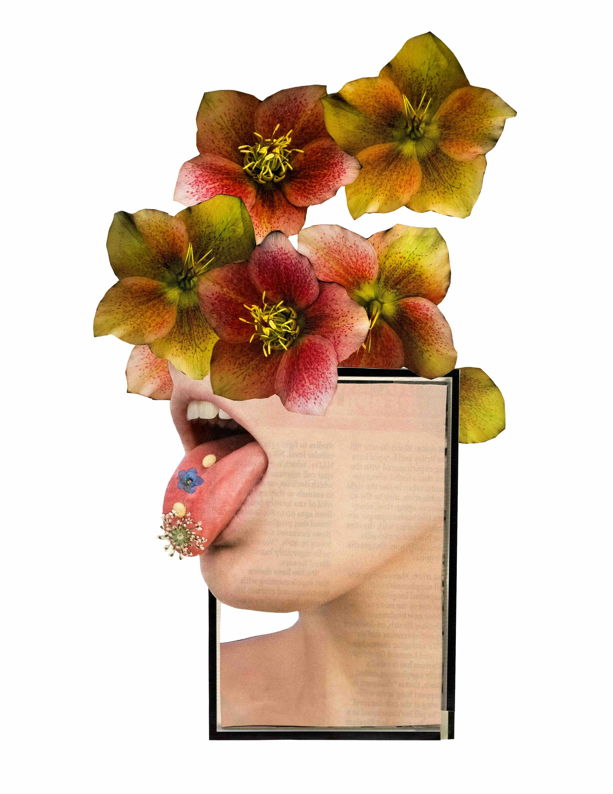 Wooster - mind in bloomjpg.jpg