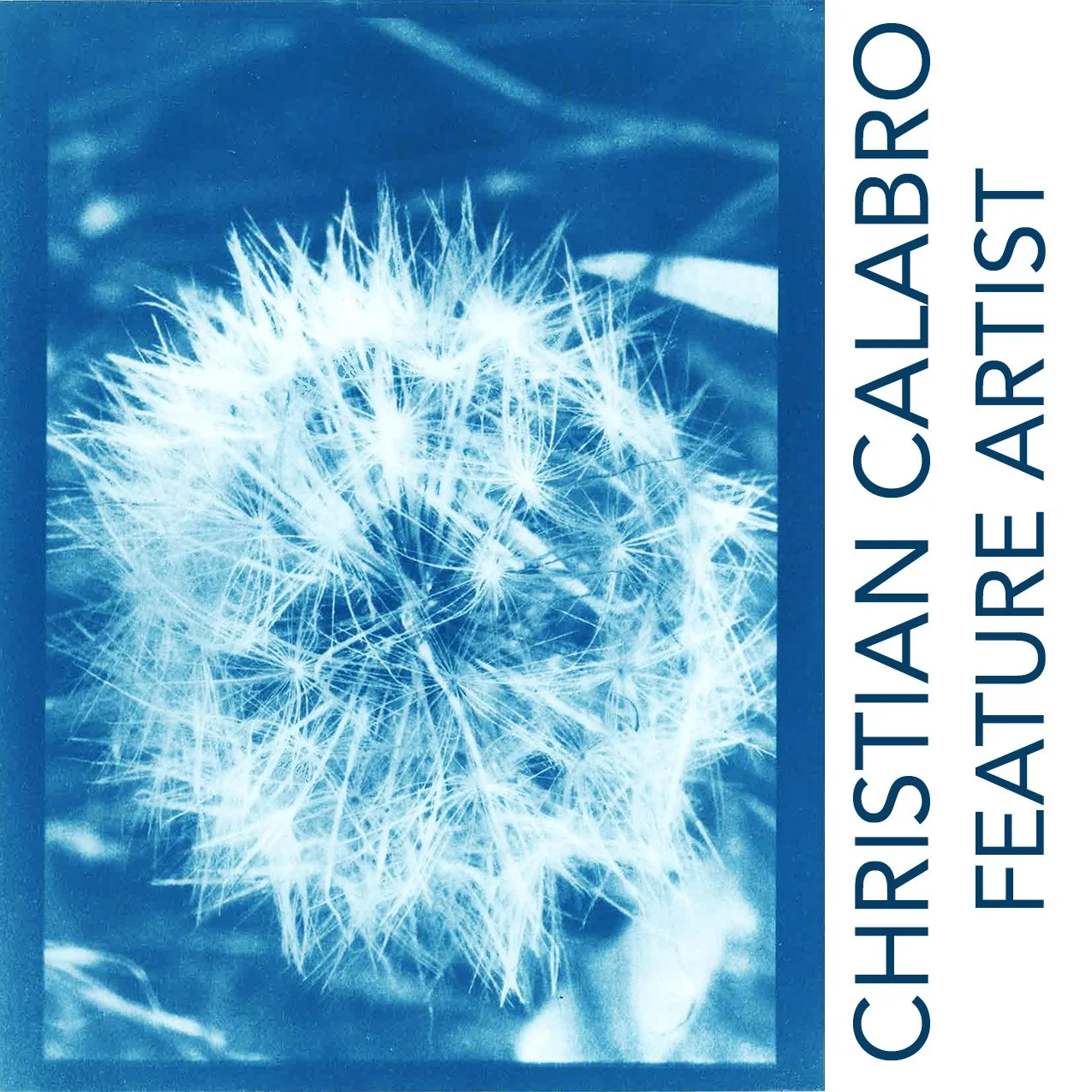 Christian Calabro - August Feature Artist