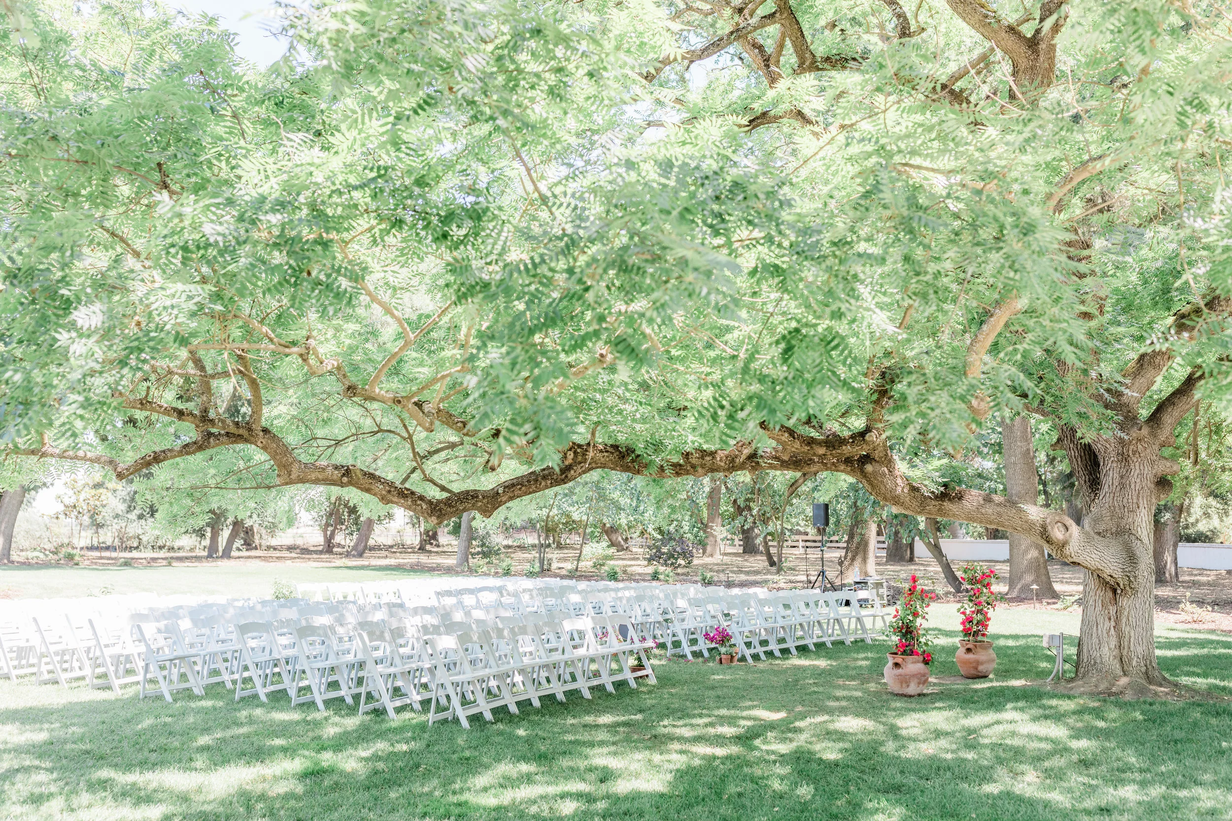 Allie and Wes - Married - Sneak Peeks-13.jpg