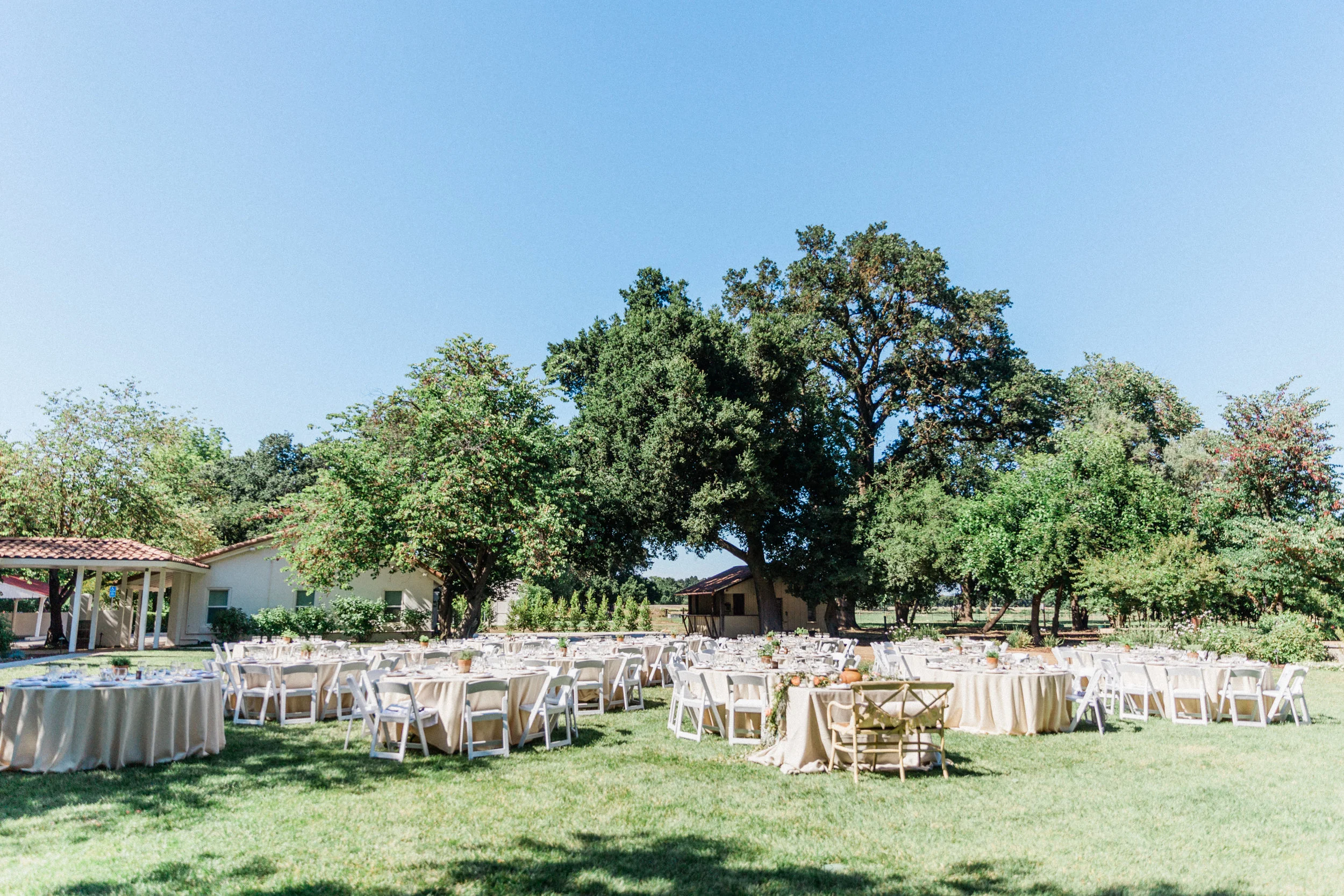 Allie and Wes - Married - Sneak Peeks-400.jpg