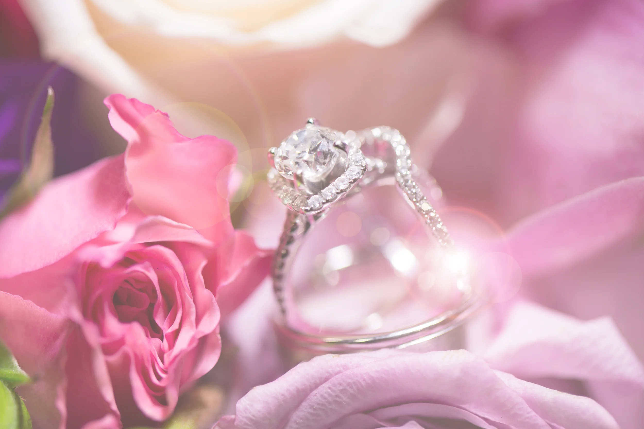 "Dear Bianca photography , Thank you Grant and Evan for capturing our wedding day! We have so many wonderful photos that it is hard for us to choose our favorite. We could not have asked for a more accommodating, talented, friendly, and sincere photographer. You helped us feel comfortable, relaxed, and confident about our special day. We absolutely love the sunset photos...they came out great. Every time we look at our wedding photos, we are able to relive our special day. Love, Cherie & Greg Lambrecht"