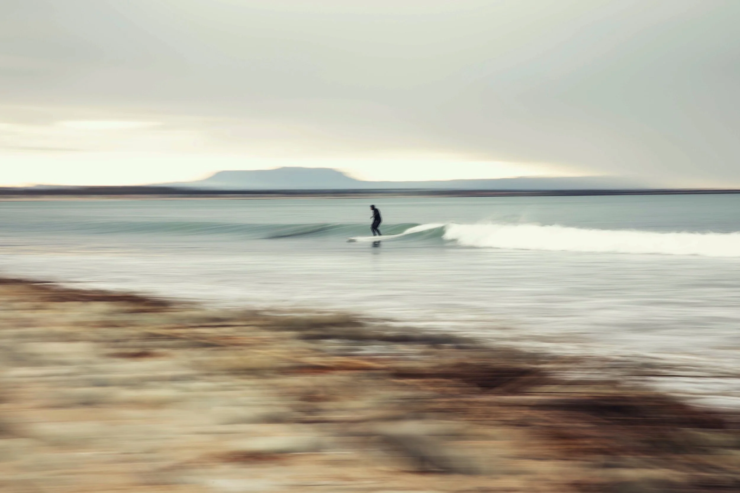 Image 3-22-20 at 1.28 PM.JPG