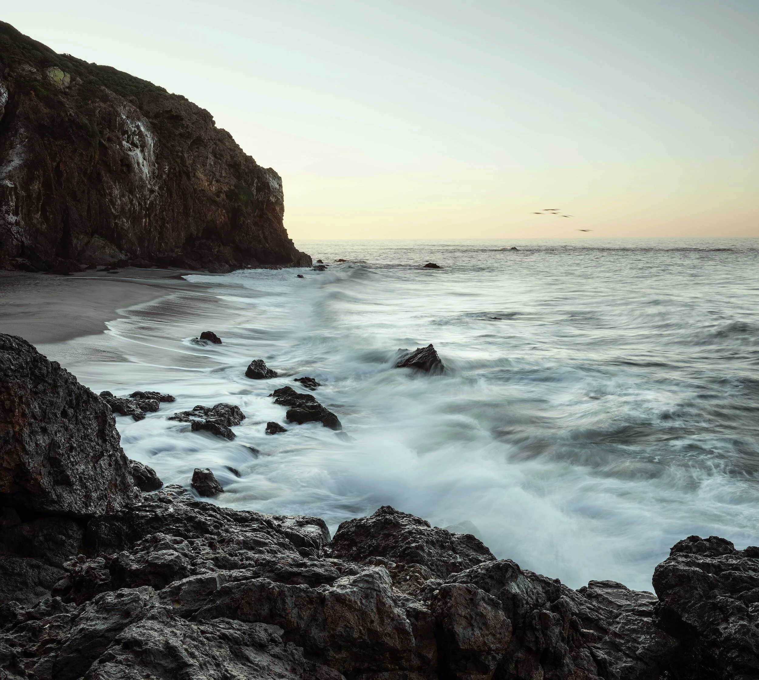 Image 2-27-21 at 11.01 AM.JPG