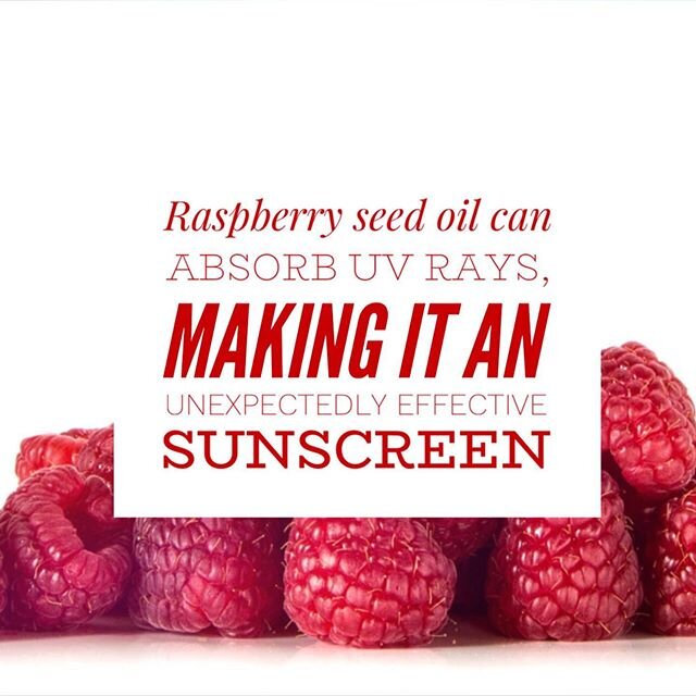 It&rsquo;s also rich in vitamin A, vitamin E, and essential fatty acids - which makes it great for your body and your skin! #raspberry #berries #superfruit #health #wellness #fitness #vegan #veganskincare #vitaminA #vitaminE #fattyacids #moisture