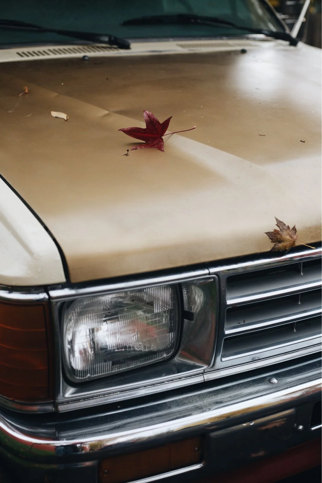 vsco_110623.jpg