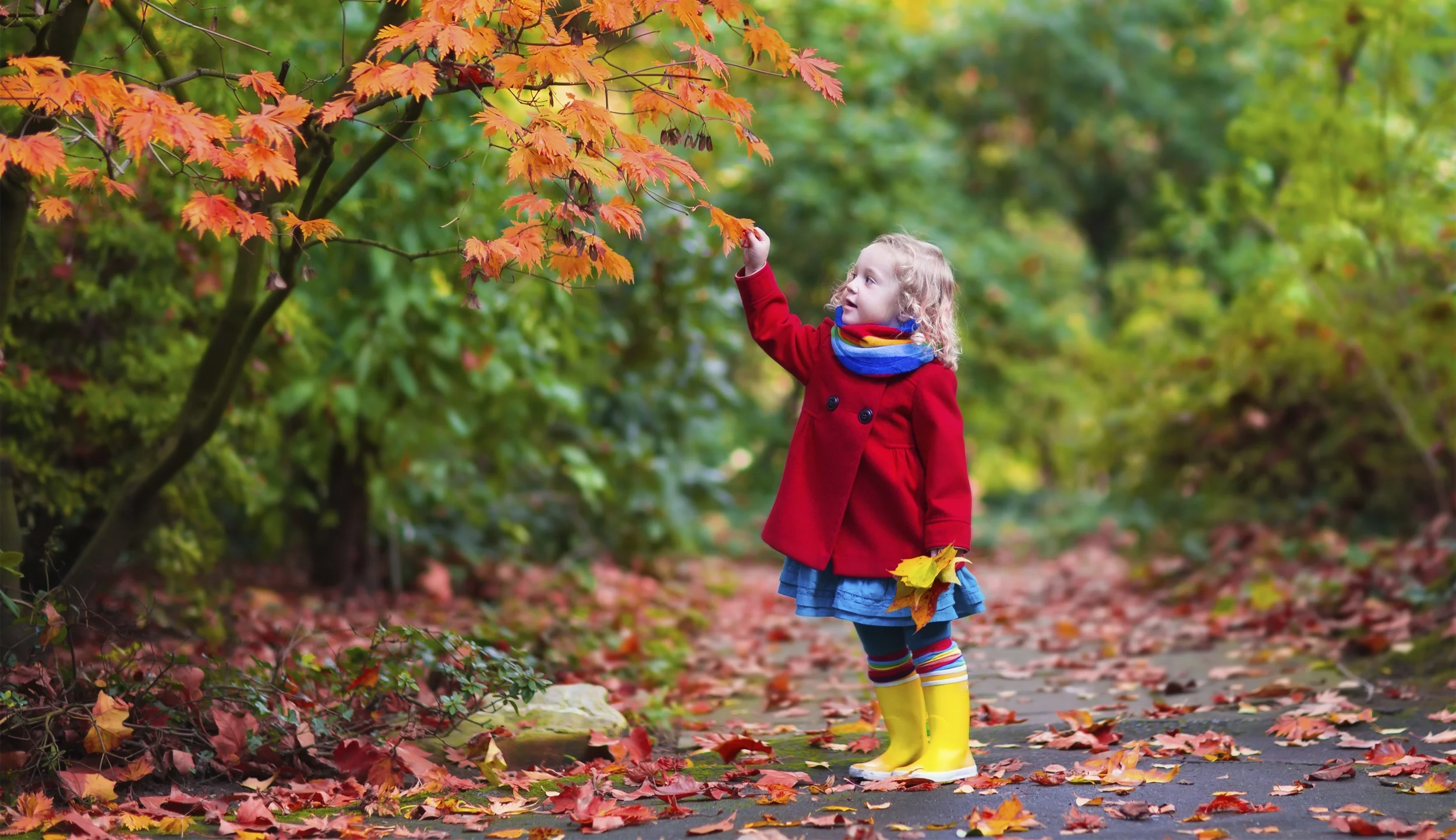 iStock_000072949489_Large.jpg