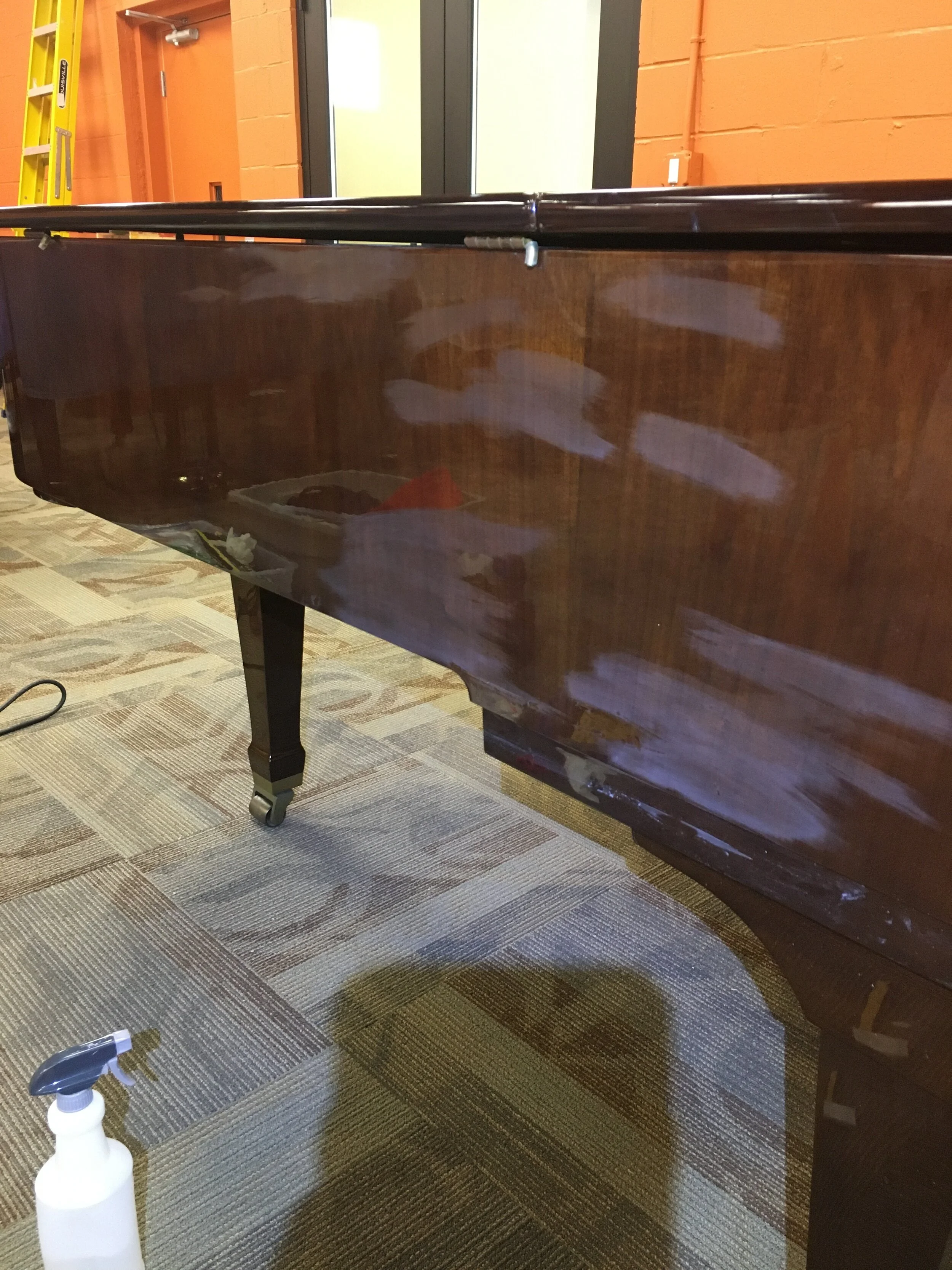 Bohemia Side Scratches