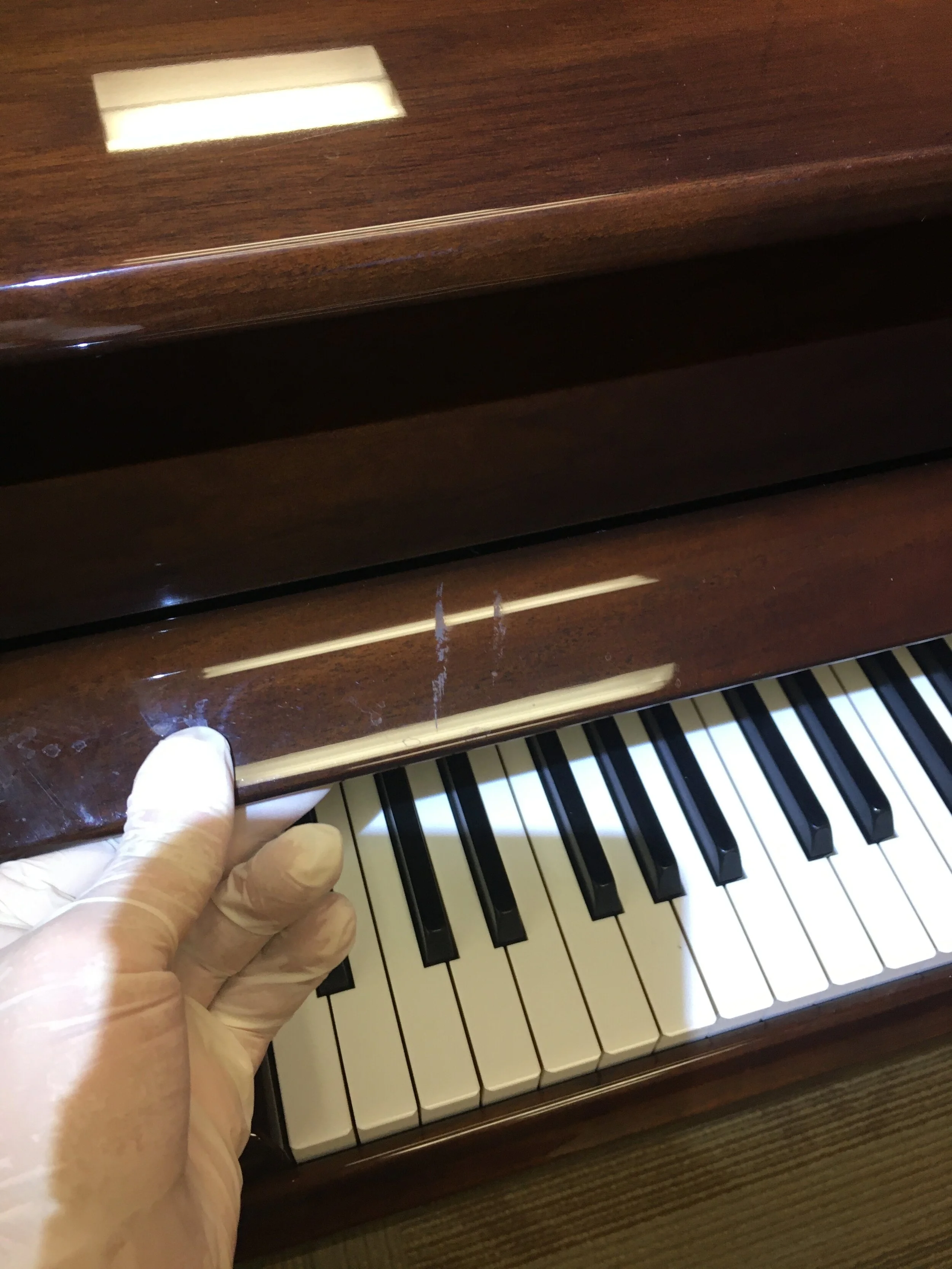 Bohemia Fall Board Scratches