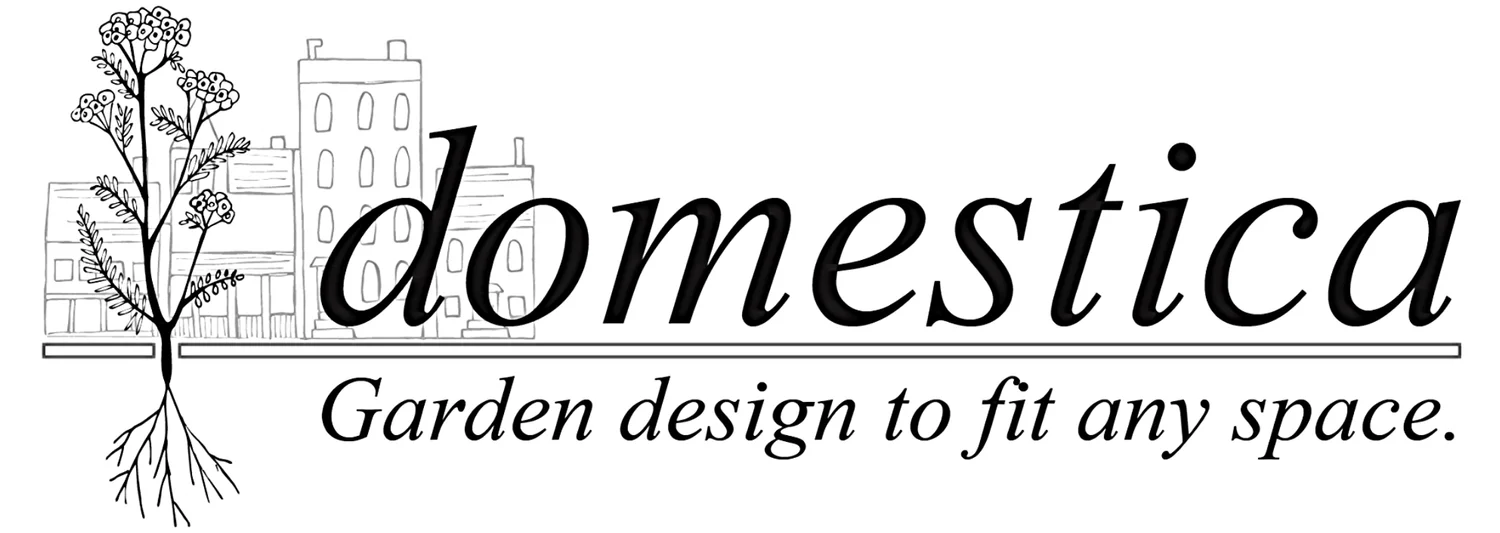 Domestica