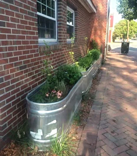 ContainerGarden.jpg