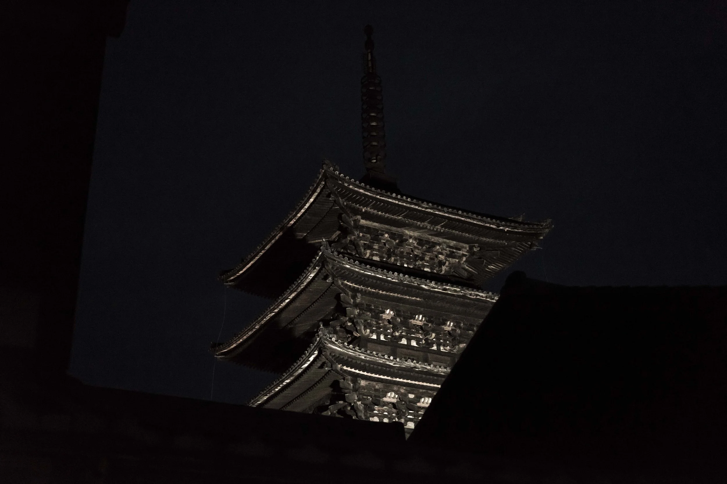 DSC00686.jpg