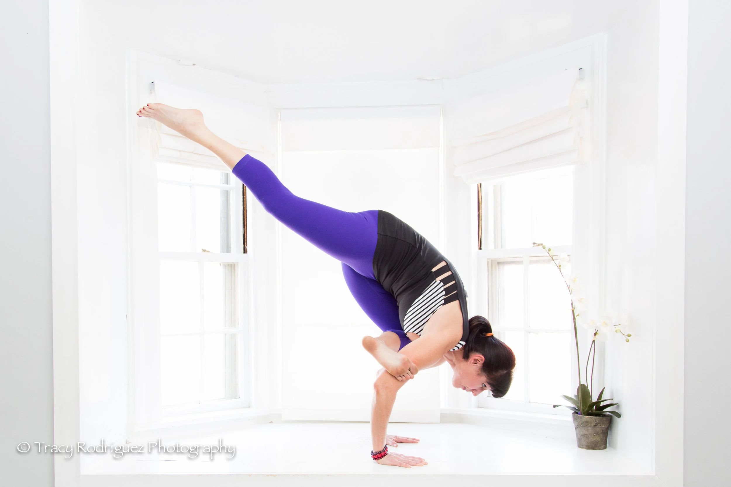 Inversions and Arm Balance Workshop with Linda Spolidoro