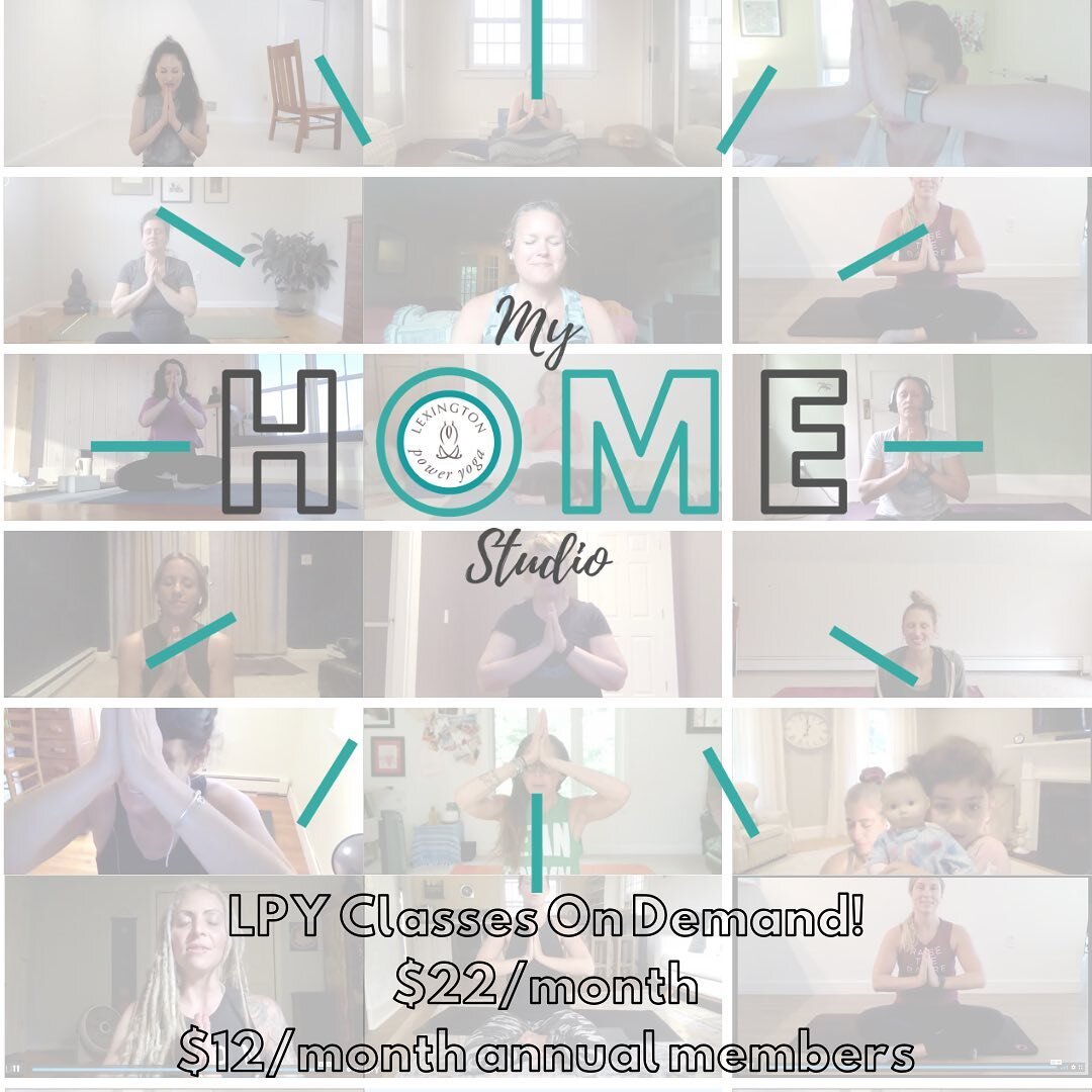 Lexington Power Yoga