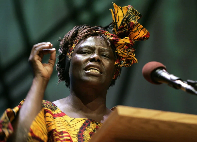 Wangari-Maathai-those-african-chicks.jpeg