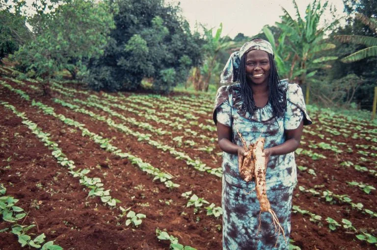 kenyan-activist-wangari-maathai-525194310-58c341ef5f9b58af5c638e4c.jpg